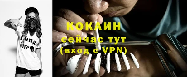 ECSTASY Пестово