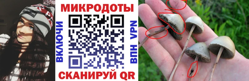 Галлюциногенные грибы GOLDEN TEACHER  Высоковск 